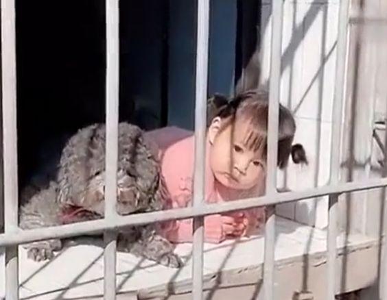 一到节假日，幼儿园提前半天就放学，家长们纳闷了：赶着休假吗？