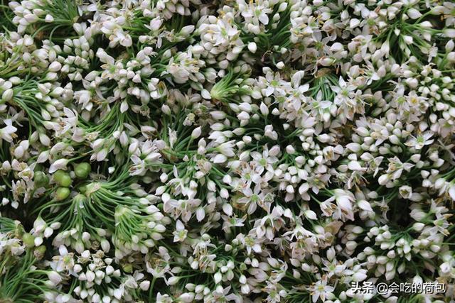 入秋後 遇上韭菜花別手軟 多買些切碎存起來 做一次能吃一整年 Kks資訊網