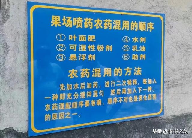 农药混用顺序，技术老师说法不一，柑橘果农：到底听谁的？2