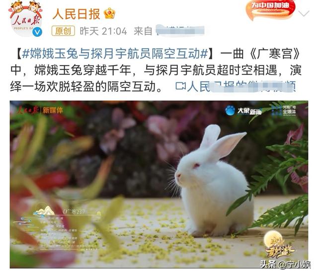 4大创意让河南卫视再现“神仙节目”，连人民日报都忍不住转发