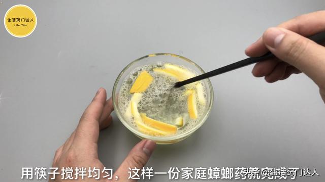 怎么抓蟑螂