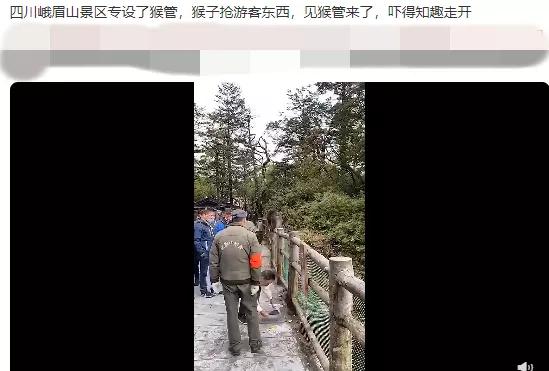 峨眉山猴子:为什么峨眉山的猴子像土匪？
