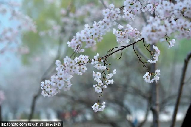 北京清明去哪玩