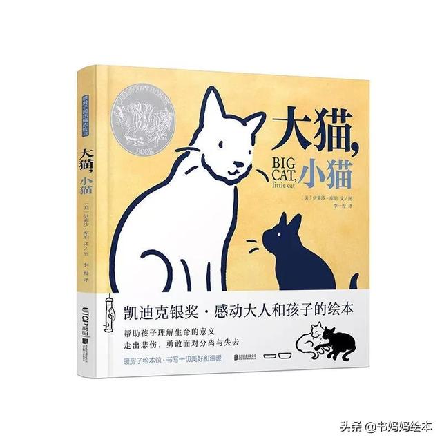 猫咪主题绘本推荐｜和孩子一同打开喵星人的世界