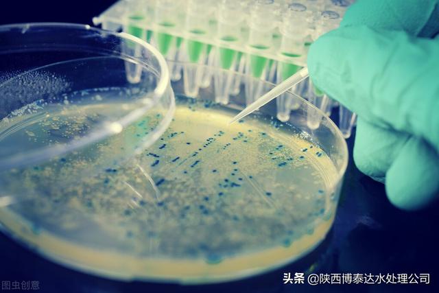 陕西洗砂污水过滤机
