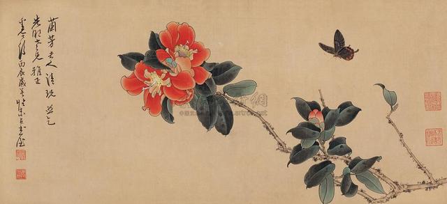 山茶花 山茶花（山茶花的花语） 生活