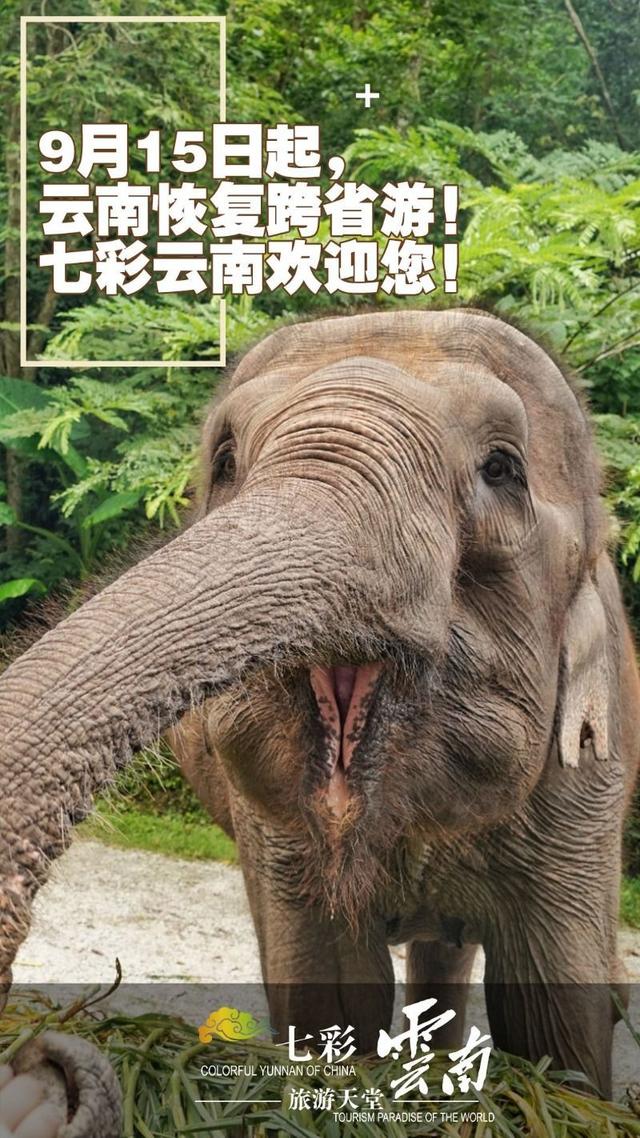 云南曲靖石榴石矿制砂机