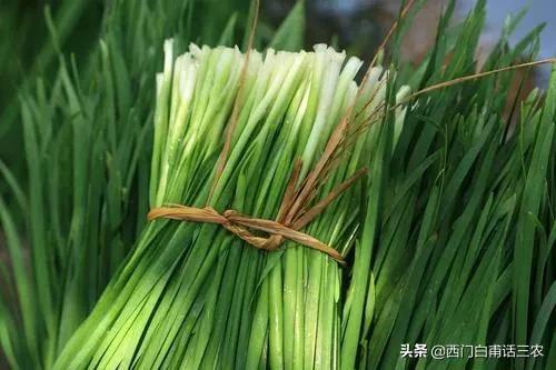 种韭菜到底打不打农药，菜市场出售的韭菜到底有没有农药残留？