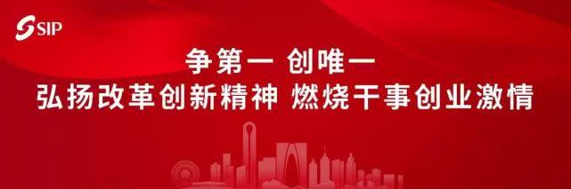 关于近期园区社保和公积金申报缴费工作的通知怎么写「每月社保公积金如何申报」