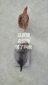 爆笑的动态图：这么大，妹子一定很喜欢