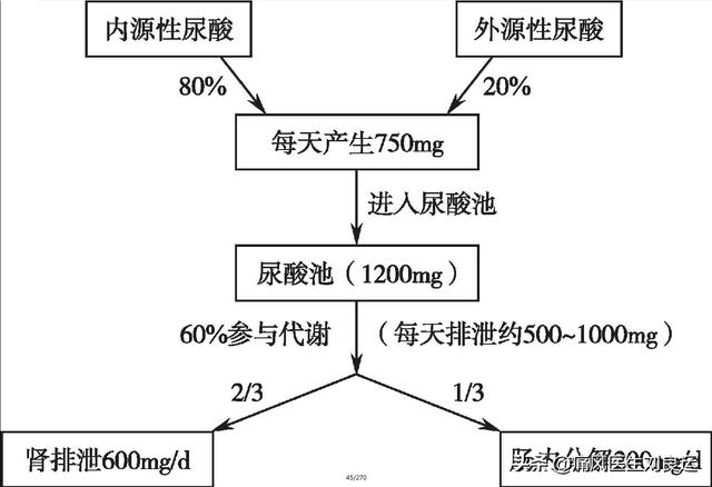 痛风病人不能吃什么菜？