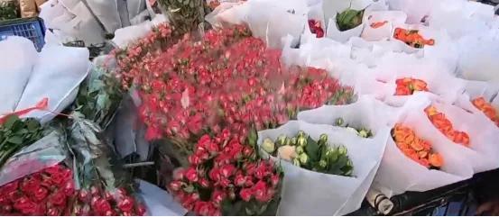 亚洲最大花卉小镇：玫瑰4毛一支，鲜花论斤卖，年销70亿