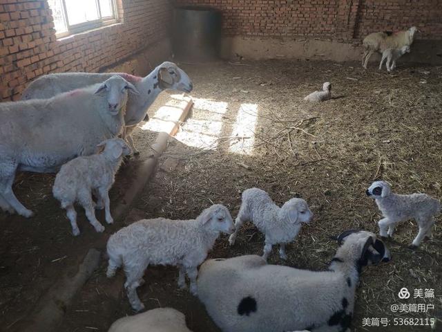 文章图片28