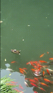 去酒吧怎么消费流程
