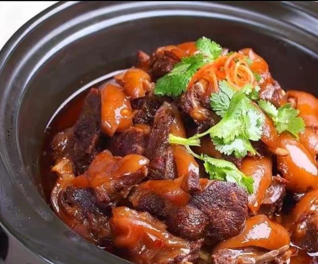 肉狗养殖