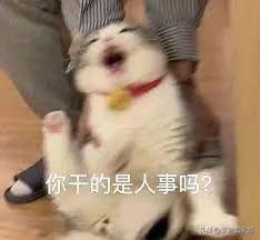 王者荣耀：职业战队比赛现场变“演员”？一场小组赛，打得真寒碜