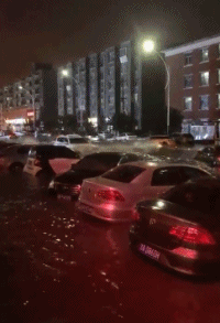 搞笑的动图图片：弱弱的问下，有几个人躲开