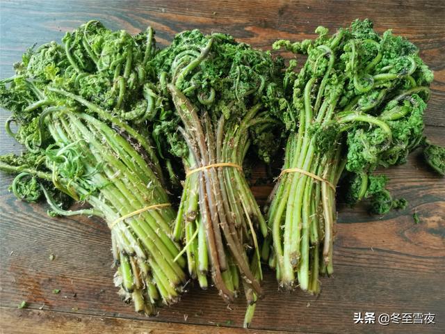 山野菜的做法