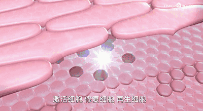 雪玲妃美白身体乳