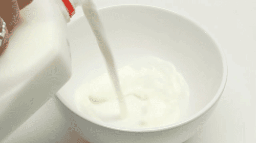 浓牛奶和纯牛奶有什么区别「浓牛奶和纯牛奶哪个好」