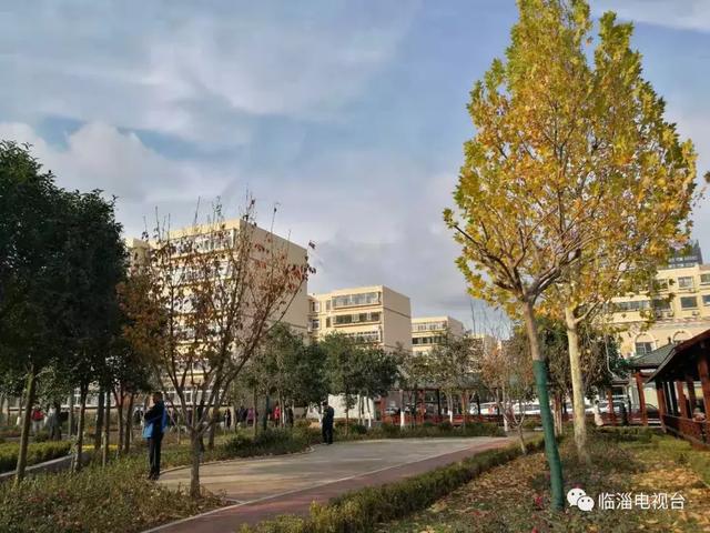青州废水处理压滤机厂家