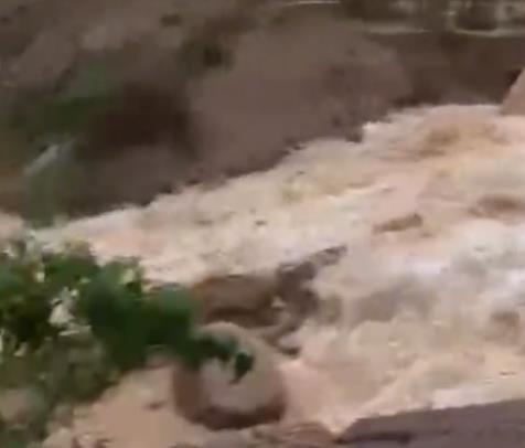 母女3人不幸遇难！山西暴雨不断频发泥石流，遇到泥石流该怎么办