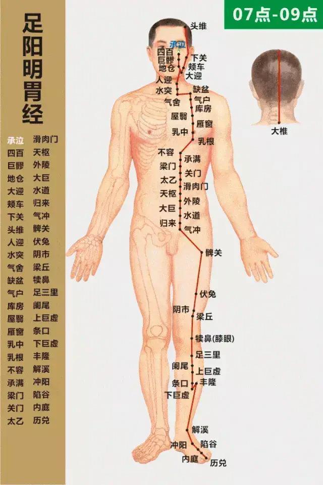 中医专家奉献人体24小时使用手册，教您按“时”养生！值得收藏