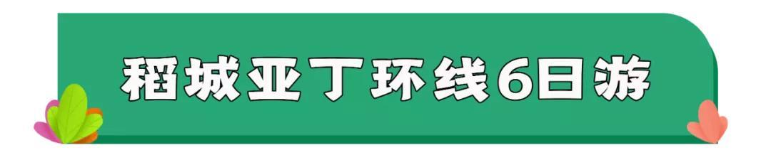 东川区双螺旋洗砂机