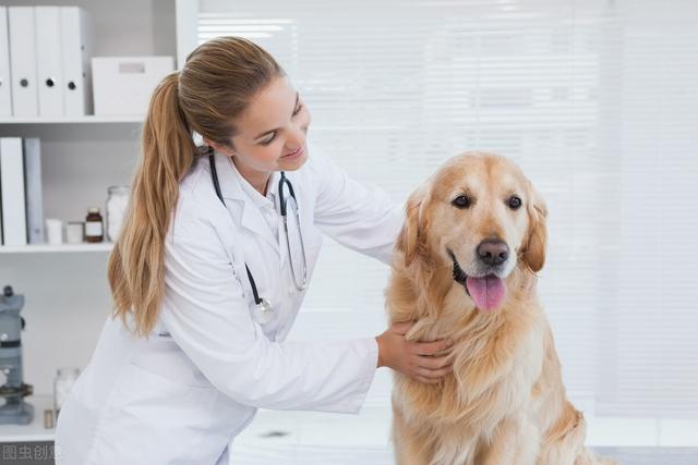 狗狗冠状是什么症状