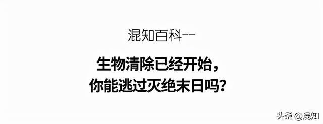 生物灭绝时间表（生物灭绝时间表视频）