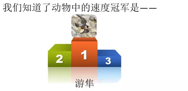 置之不理的置什么意思 置之不理的置什么意思（置之不理的理什么意思） 生活