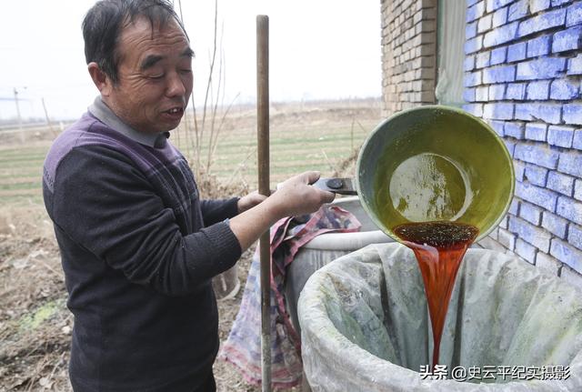 农民用石灰和硫磺熬制一种农药，专杀桃树上的白蚧虫，看看啥情况9