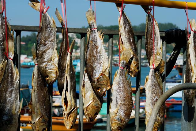 提醒：有5种鱼尽量少吃，很多人可能还不清楚，本文告诉答案