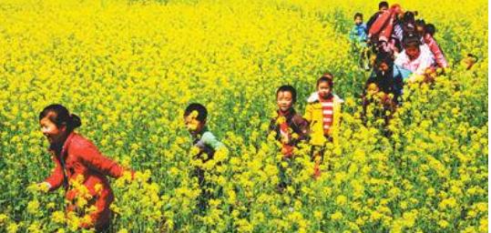 「原创诗词」万里云 | 惜春欲赋诗心老 辛丑仲春十词