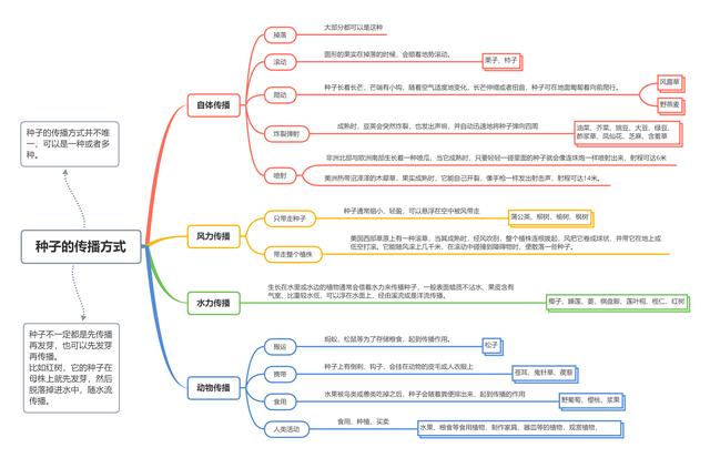 哪些植物传播种子的方法