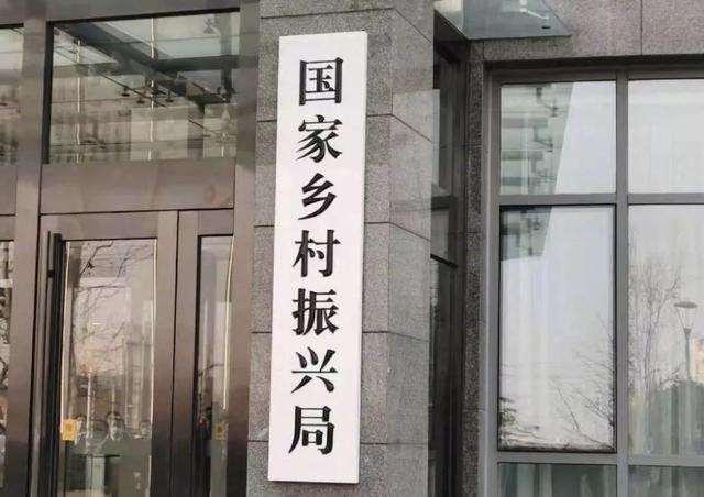 红科是什么档次的牌子(红科是什么牌子)