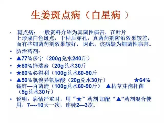 「作物病害」生姜病害大全