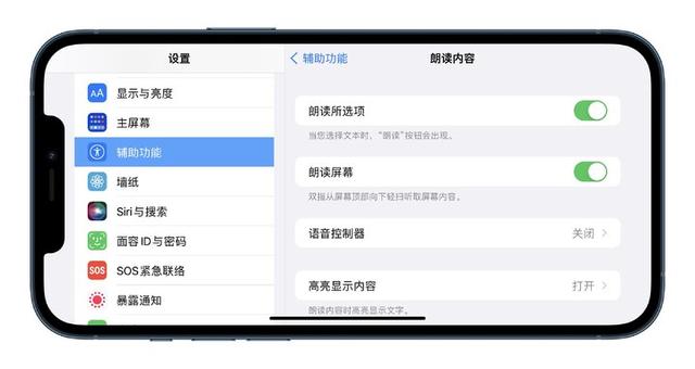 iPhone 上的辅助功能，可能是你遗忘的宝藏-第14张图片-9158手机教程网