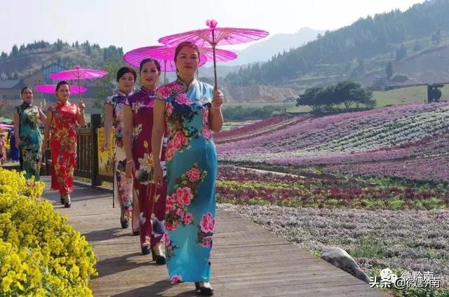 木工机械展模特