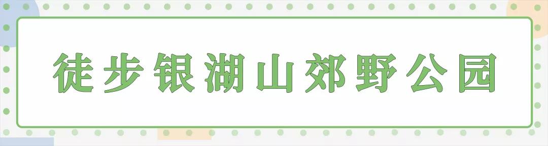 深圳可以徒步的公园，全长长长长长长有11公里