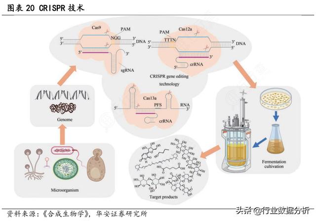 基因技术：3亿！又一家“基因科技与精准医疗研究商”获3亿元融资