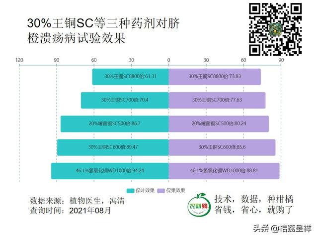 数读王铜丨防治柑橘溃疡病，保叶保果效果均达80%以上