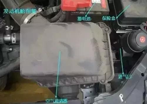 发动机舱进猫怎么办(猫进发动机舱有损害吗)