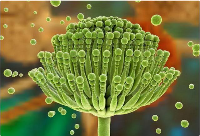 隔夜菜能不能吃？友情提示：除了这3种，其它的或可以放心吃