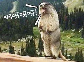 脸上长痘毛囊角化