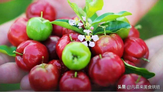 水果名称大全