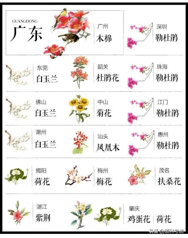 中国各城市市花