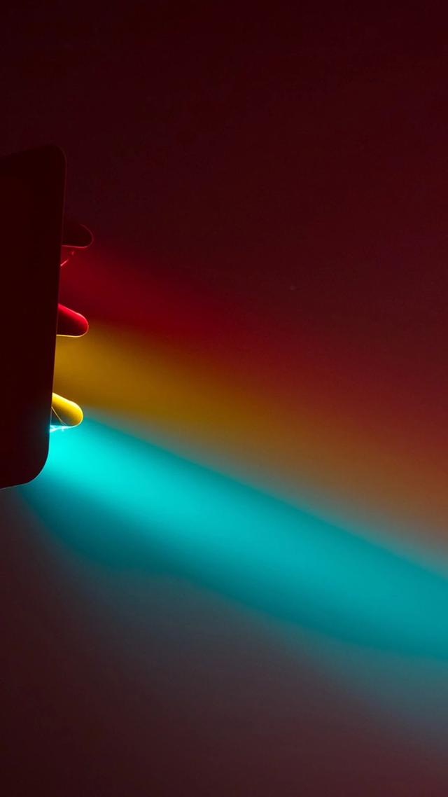 抖音很火的猫壁纸抖音网红星狗壁纸