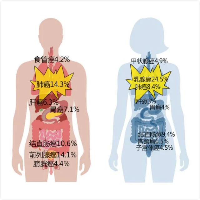 孩子日常会接触到哪些致癌物？想不到这么多（附一级致癌物清单）