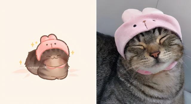 猫咪头像